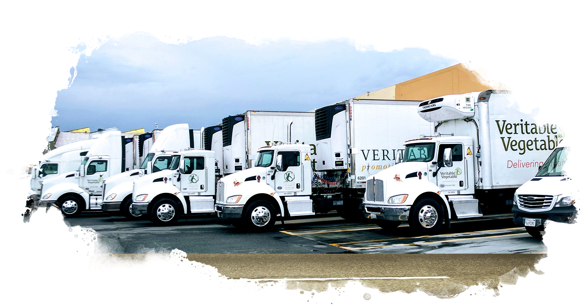 Truck_Marin_Fleet refrigerated truck service